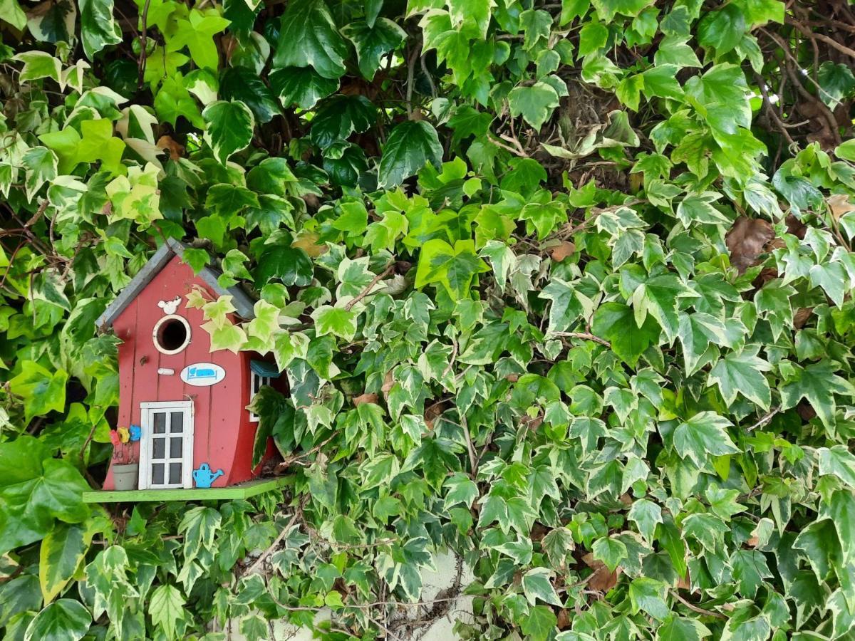 Smiling Places - Guest House In Labruge Eksteriør bilde